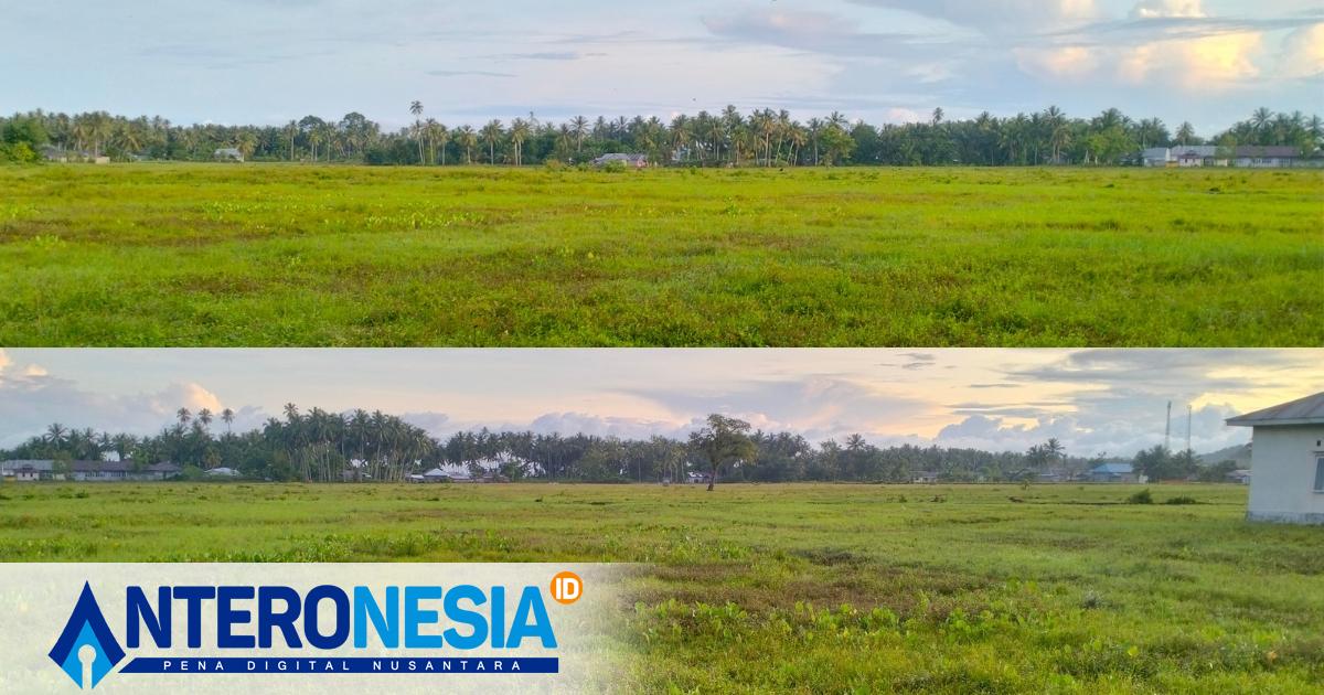Tunjangan Sertifikasi_20250112_090249_0000