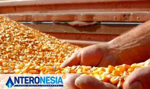 Header_20250319_212111_0000