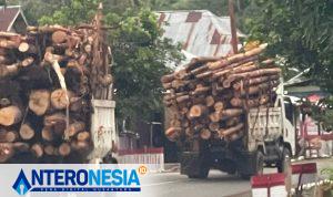 Header (1200 x 650 px)_20250709_102747_0000