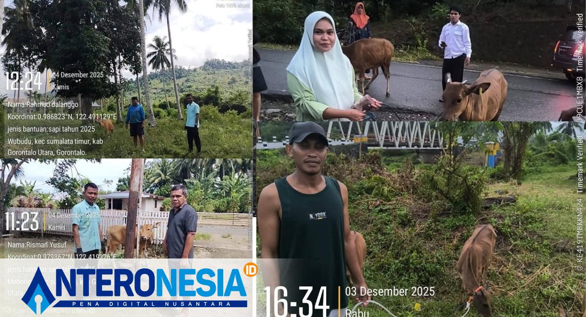 Header (1200 x 650 px)_20251209_015158_0000